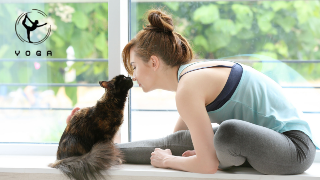 Cat Yoga