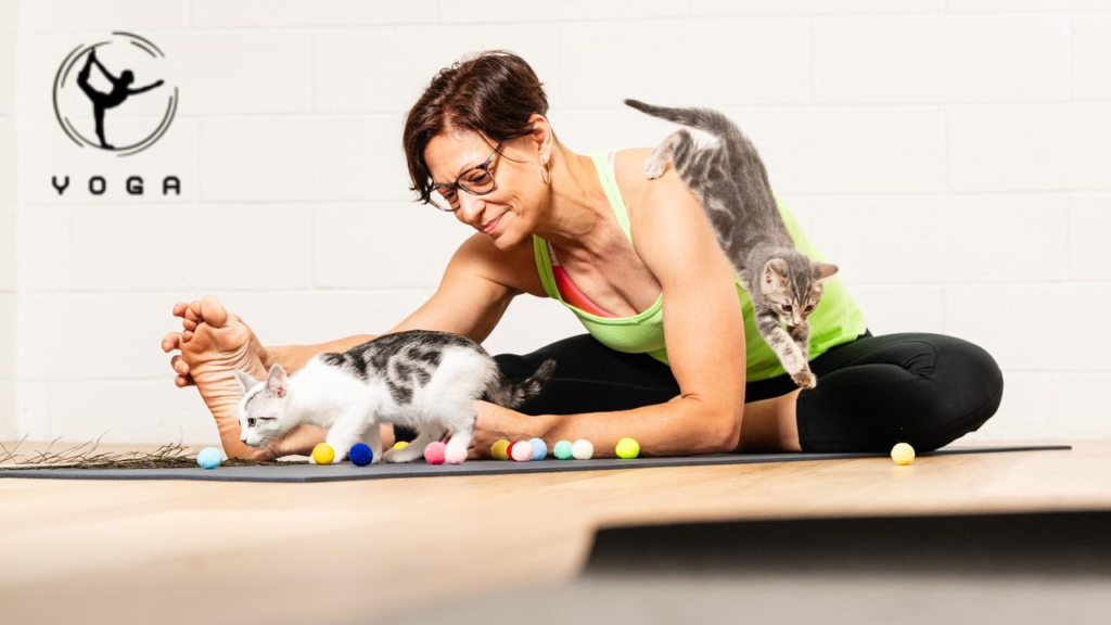 Cat Yoga