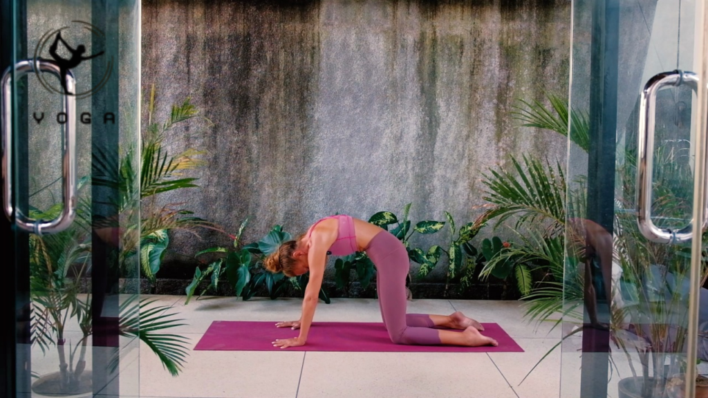 Spirit Lab Yoga